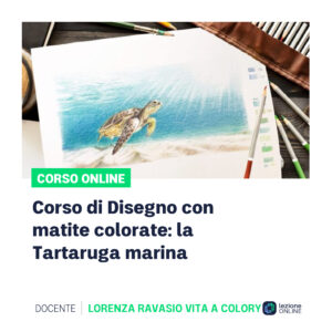 corso tartaruga