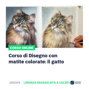 corso gatto
